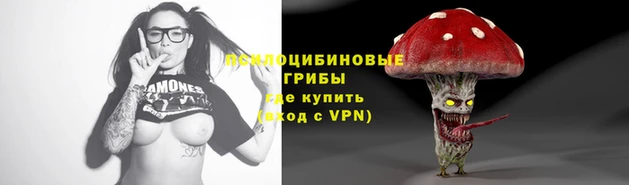 гашиш Магас