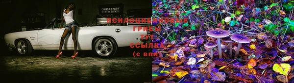 PSILOCYBIN Магадан