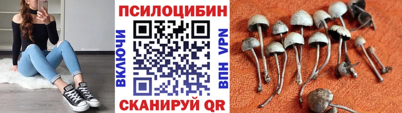 Купить  Ачхой-Мартан  Псилоцибиновые грибы Psilocybine cubensis 