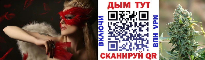 Купить где  Ачхой-Мартан  Шишки марихуана OG Kush 